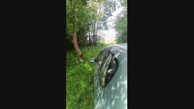 Miridjy 15-05-2025 Recorded Video lovense
