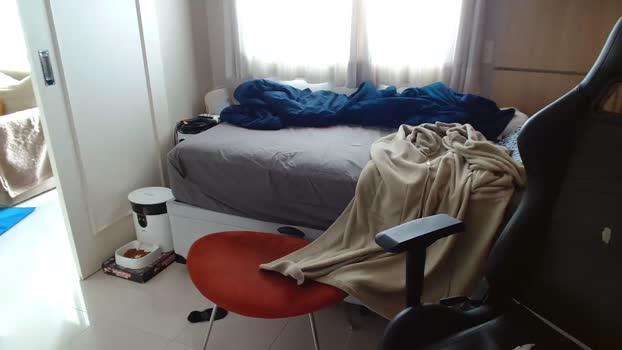 TimidoSP 15-05-2025 Recorded Video hot
