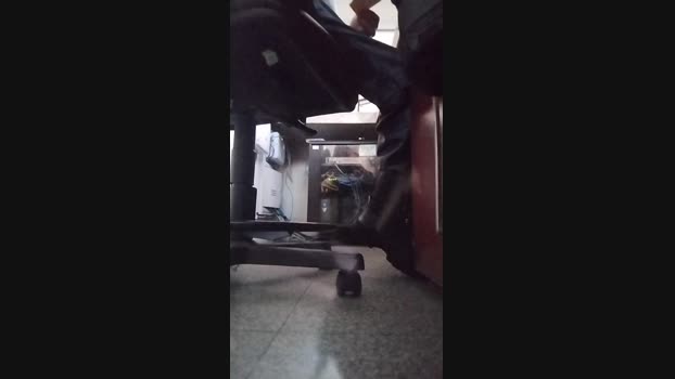 morcego01 15-05-2025 Recorded Video Ass