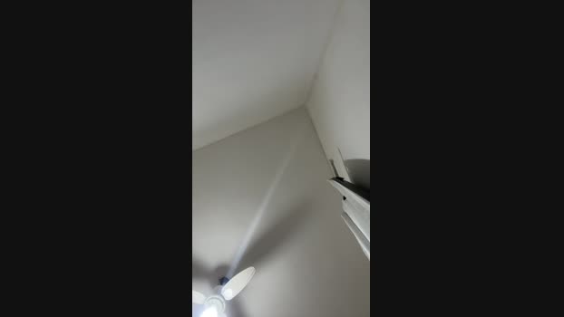 playfulcocks2 15-05-2025 Recorded Video jerkoff
