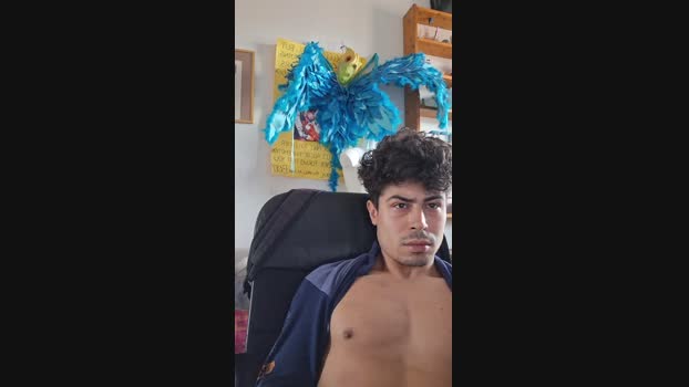 LiukLGN98 16-05-2025 Recorded Video play