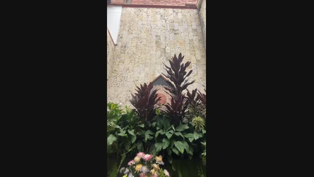 NICKY_MAXIMOF 16-05-2025 Recorded Video fingers