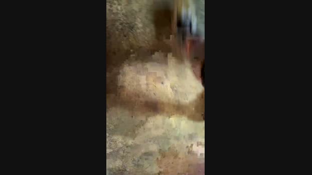 Swisslin2 16-05-2025 Recorded Video fingers