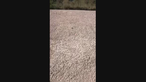 6Q87 17-05-2025 Recorded Video gag