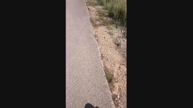 6Q87 17-05-2025 Recorded Video hard