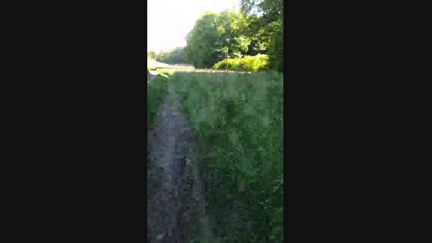 Legtiste 17-05-2025 Recorded Video strip