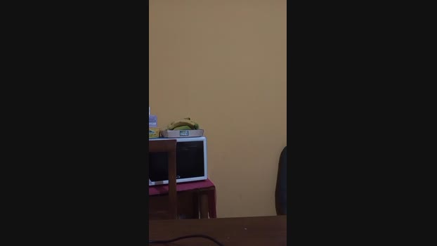 LolloEBibbi 16-05-2025 Recorded Video Naked