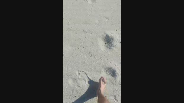 daniel69sexyhot 16-05-2025 Recorded Video sexykitty