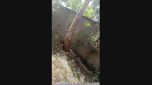 pathpeter 17-05-2025 Recorded Video big