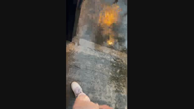 Papionfire 17-05-2025 Recorded Video kinky