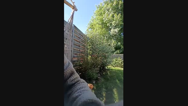 Rouelibre44_ 18-05-2025 Recorded Video big