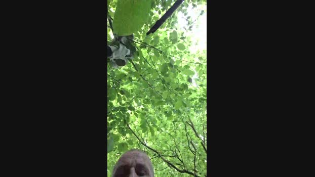 Socke72 18-05-2025 Recorded Video toy