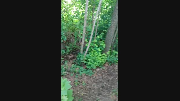 ragazzoporco83 18-05-2025 Recorded Video beauty
