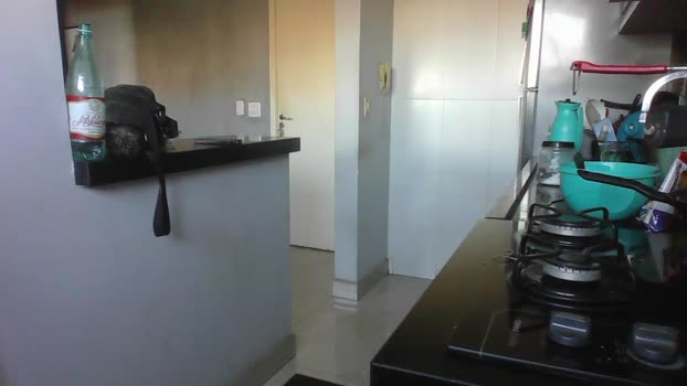 CARAMANEIRO 19-05-2025 Recorded Video amateur