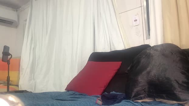 Mariokurt 19-05-2025 Recorded Video ass