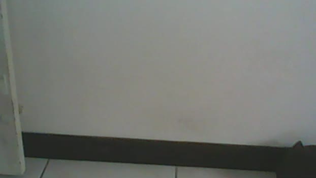 wushenliou 19-05-2025 Recorded Video fingers