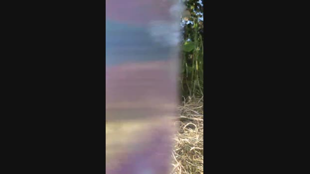 Aazbbz20 19-05-2025 Recorded Video yummy