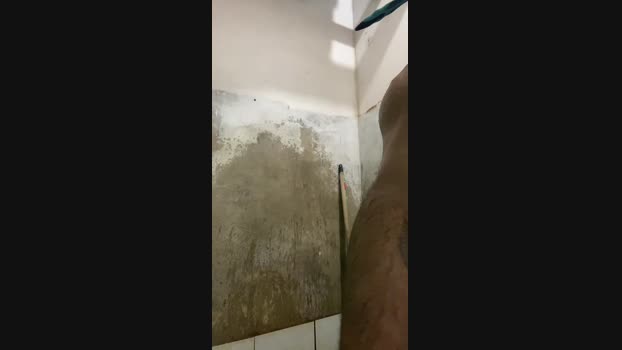 Spiderfindom 20-05-2025 Recorded Video big