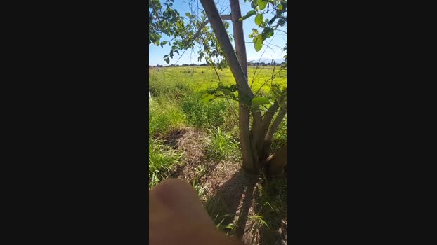 jao_magrao 20-05-2025 Recorded Video big