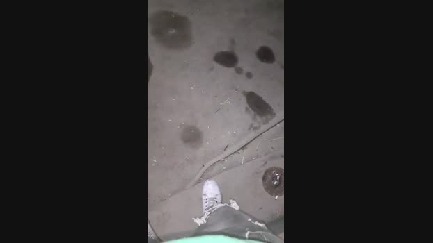 lokohelios1 21-05-2025 Recorded Video cute