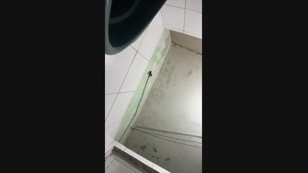 novdotado22 21-05-2025 Recorded Video strip