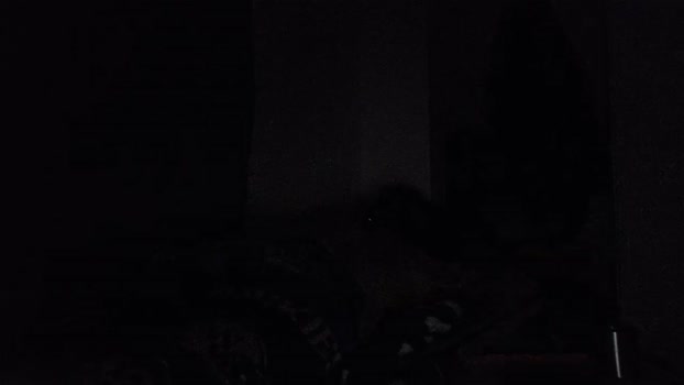 Beardedveteran 22-05-2025 Recorded Video strip