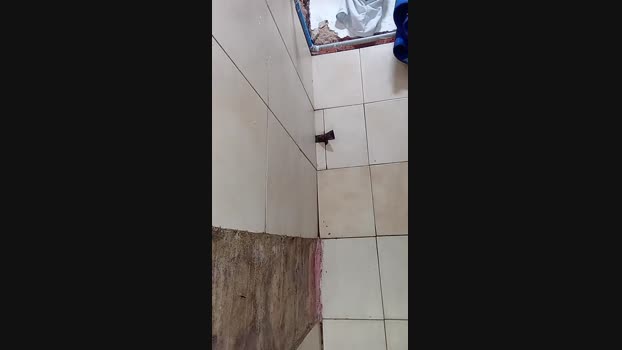 alfonzo41 24-05-2025 Recorded Video moan