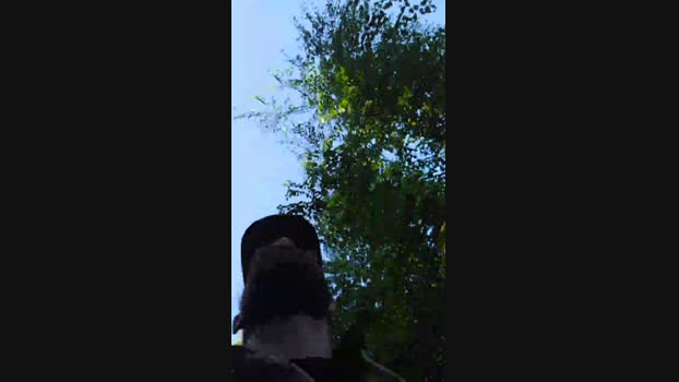 Beardedveteran 25-05-2025 Recorded Video suck