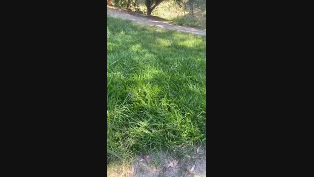 Peverrel34 25-05-2025 Recorded Video sexymale