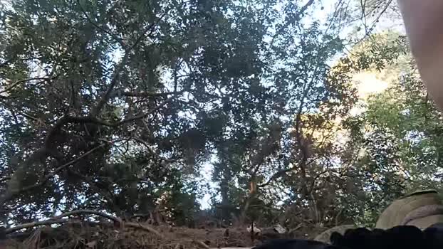 VELLOPMI 24-05-2025 Recorded Video play