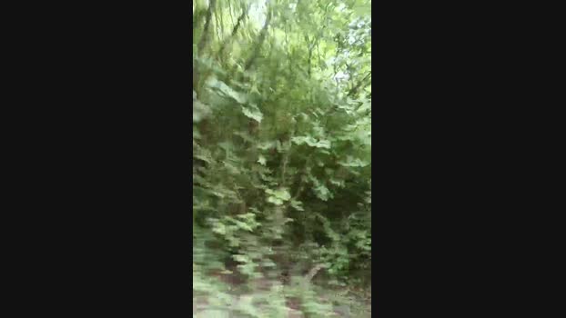 fulibal 25-05-2025 Recorded Video jackoff