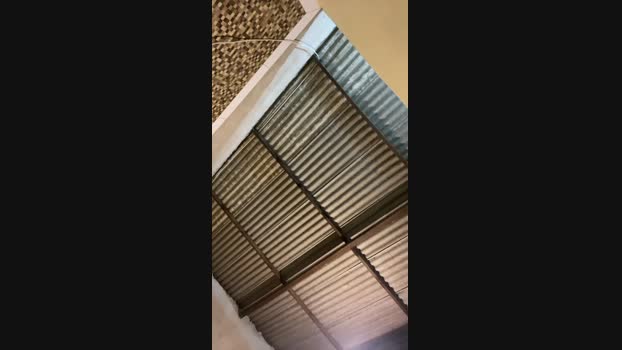 novdotado22 25-05-2025 Recorded Video wank