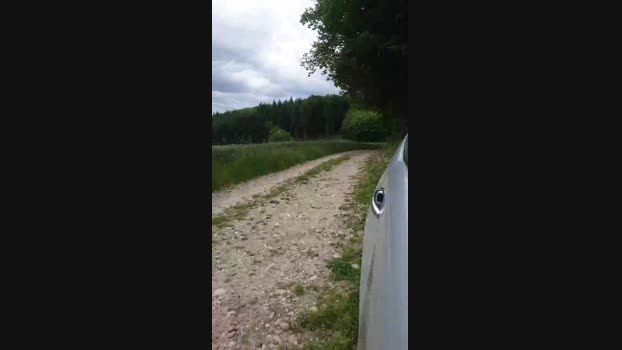 Legtiste 25-05-2025 Recorded Video kink