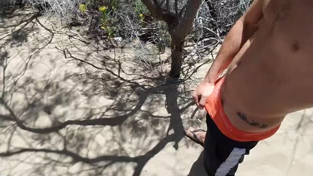 Pabloysebas 26-05-2025 Recorded Video Ass