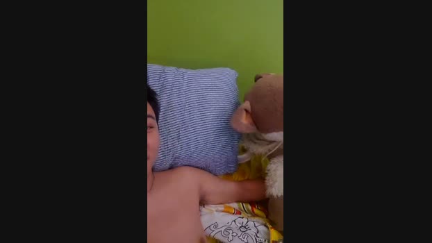 yoke 26-05-2025 Recorded Video bigtoys
