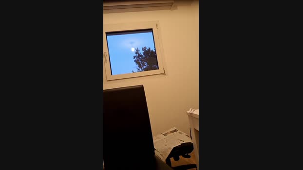 ALPHA_HUNK 27-05-2025 Recorded Video bigballs