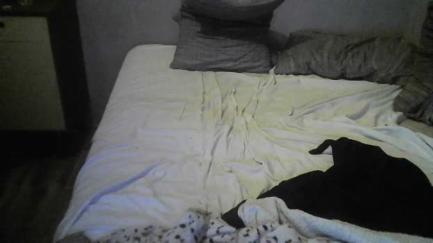 Merptreze 28-05-2025 Recorded Video jackoff