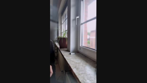 hotboy7005 28-05-2025 Recorded Video ass