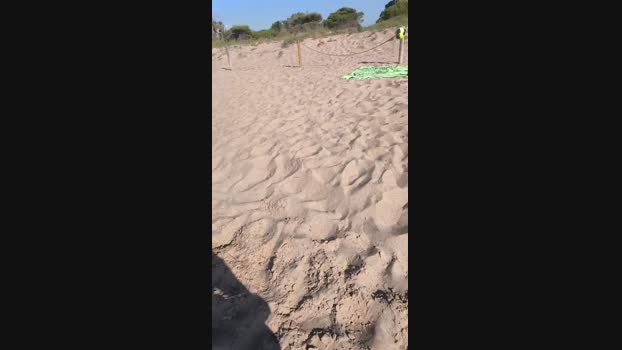 6Q87 29-05-2025 Recorded Video natural