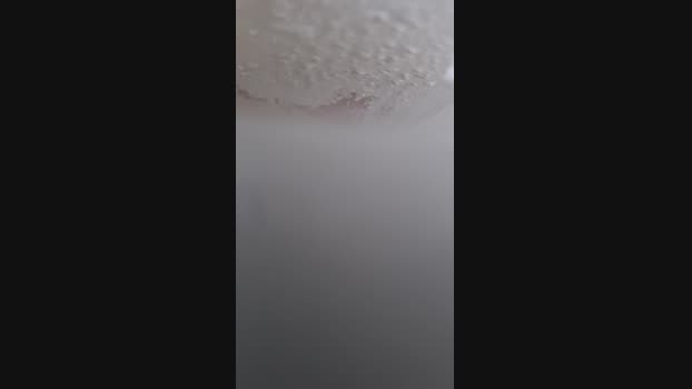 brodysw7 29-05-2025 Recorded Video fuckme