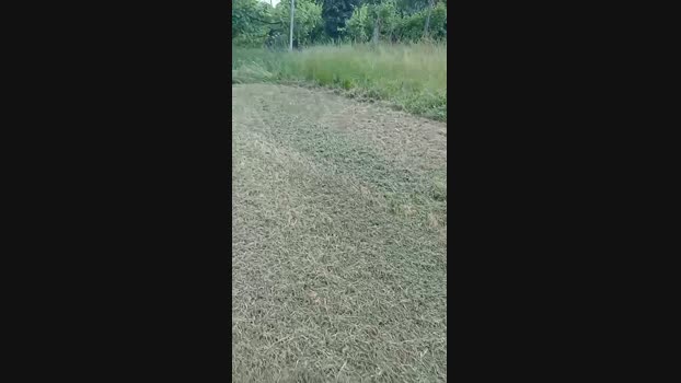 ragazzoporco83 29-05-2025 Recorded Video gay