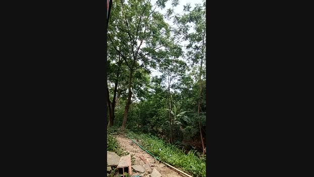 Richard_2 30-05-2025 Recorded Video skinny