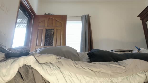 Beardedveteran 31-05-2025 Recorded Video sexykitty
