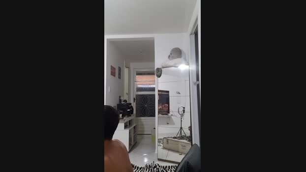 Levi_Henrique 31-05-2025 Recorded Video big