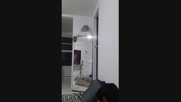 Levi_Henrique 31-05-2025 Recorded Video ass