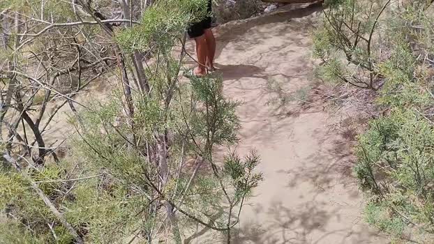 Pabloysebas 01-06-2025 Recorded Video Topless
