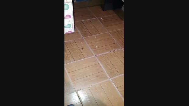 Leo23cm5 02-06-2025 Recorded Video Pretty
