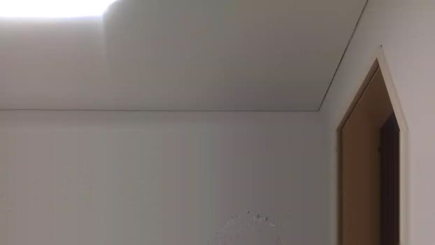 Sexyfreak1994 02-06-2025 Recorded Video ass