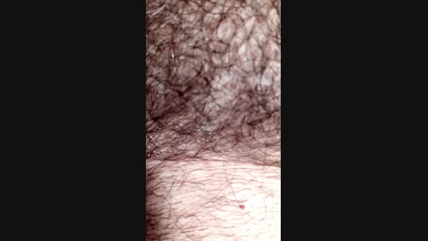 martino281 02-06-2025 Recorded Video bigtoys