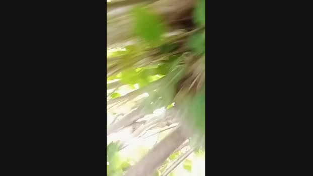 ragazzoporco83 02-06-2025 Recorded Video kissing